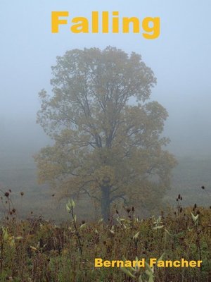 cover image of Falling